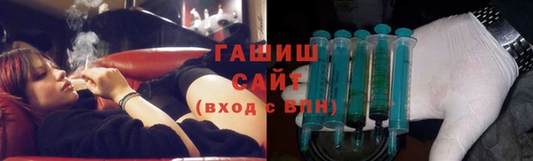 шишки Саяногорск