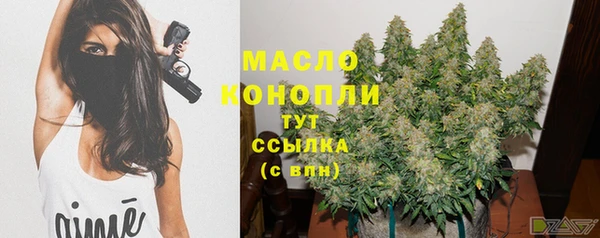 шишки Саяногорск