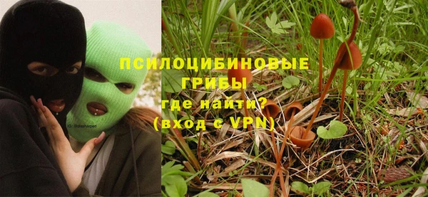 a pvp Аркадак