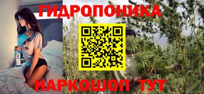 бутират Кингисепп