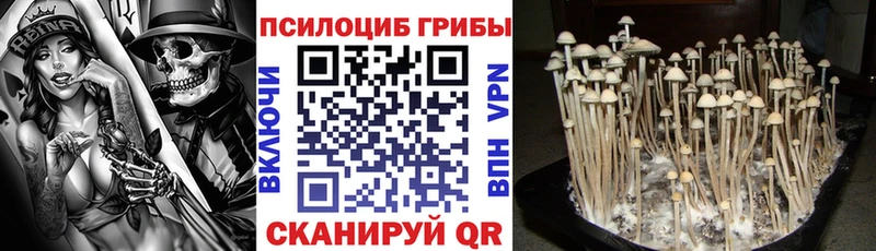 Псилоцибиновые грибы GOLDEN TEACHER  Минусинск 