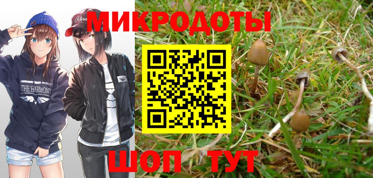 Псилоцибиновые грибы GOLDEN TEACHER Минусинск