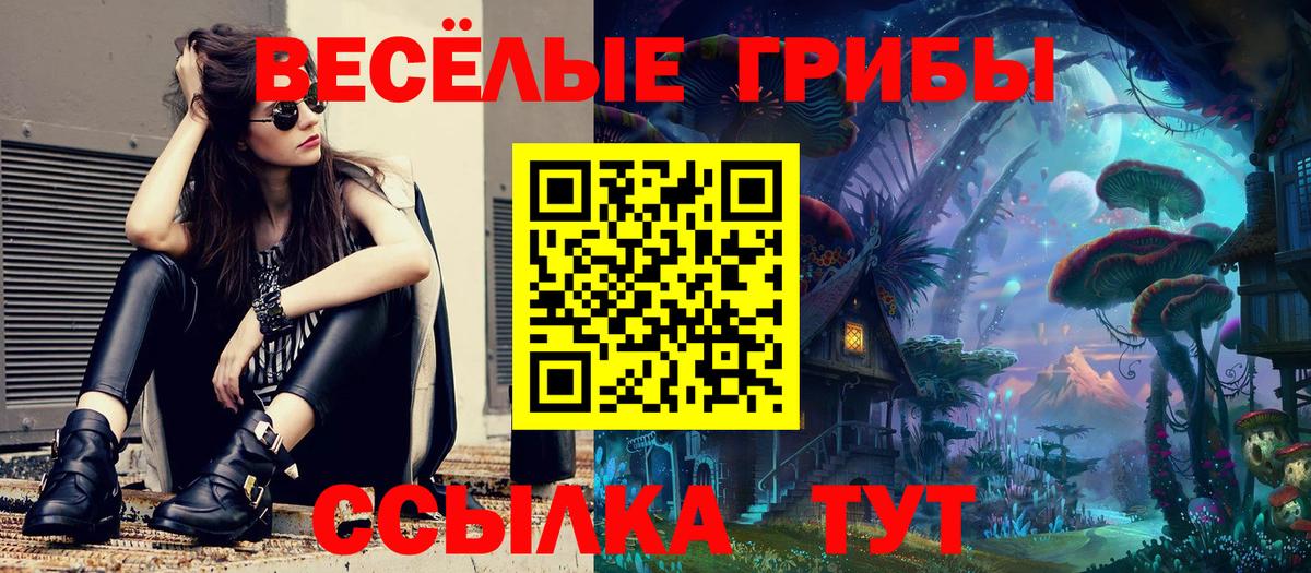 Псилоцибиновые грибы MAGIC MUSHROOMS  Вход с VPN  Минусинск 